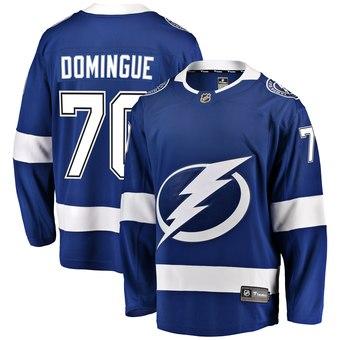 2019 Cheap Hockey Jerseys Tampa Bay Lightning Louis Domingue Custom USA Ice Jersey Blank Store personalized customized factory womens 4xl