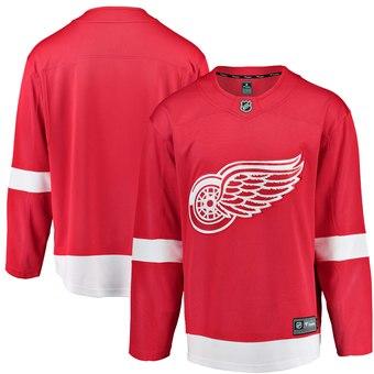 2019 Cheap Hockey Jerseys Detroit Red Wings Tomas Tatar Custom USA Ice Hockey Jersey Blank Store Youth Kids Winter Classic DHL womens 4xl