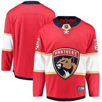 2019 Cheap Hockey Jerseys Florida Panthers Vincent Trocheck Custom USA Ice Jersey Blank Store personalized customized authentic womens kids