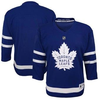 2019 Cheap Hockey Jerseys Toronto Maple Leafs Ron Hainsey Custom USA Ice Jersey Blank Store personalized customized factory womens kids 4xl