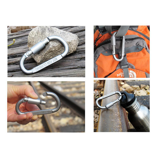 2017 Wholesale Outdoor 8cm D-ring Aluminum Fast Hanging Carabiner Key Clip Hook Keychain with Lock Key