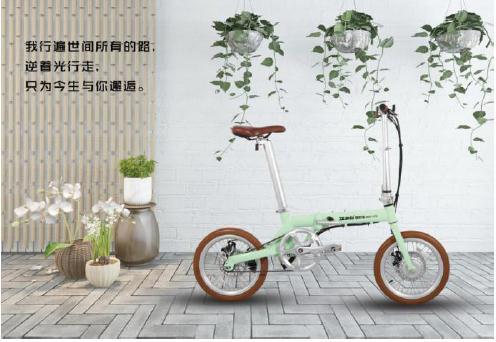 Intelligent electric bicycle BEE-01S 16inch foldable bike 36v 250W motor 5.2AH lithium battery magnesium wheel