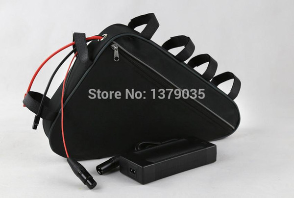 48V 20AH electric bike power 1000 times cycle with charger BMS