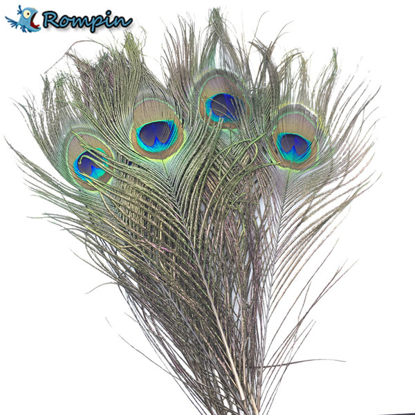 10Pcs Natural Peacock Tail Eye Hair for Fly Tying Streamer Slamon Flies Olive Peacock Feather Fly Fishing Lure Bait DIY Material