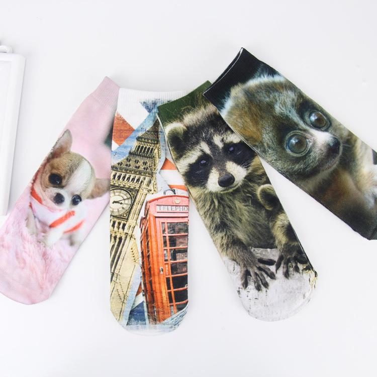 New 2017 Spring and summer thin breathable female socks Japan and South Korea personalized tide socks animal cartoon sports socks