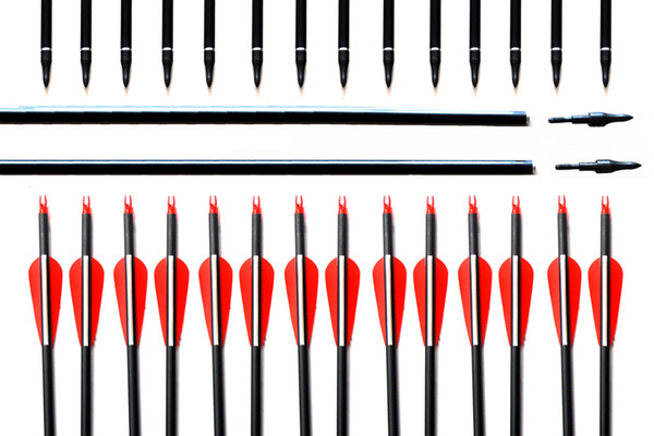 Plastic Vanes Carbon 28/30/31-Inch Arrows with Field Points Replaceable Tips for Recurve Bow and Compound Bow