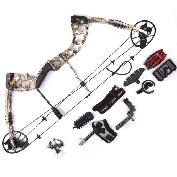 Compound Bow 2 Color 30-70lbs Archery Compound Bow Set Aluminum Alloy with Bow Accessories for Outdoor Hunting Shooting