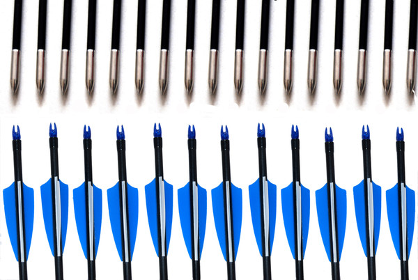 12pcs Spine500 with blue Feather Fiberglass Arrow for compound Bow Arrow or Long Bow Practice /Hunting