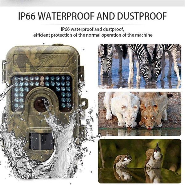 1080P 16MP Night Vision Trail Camera with 2.36