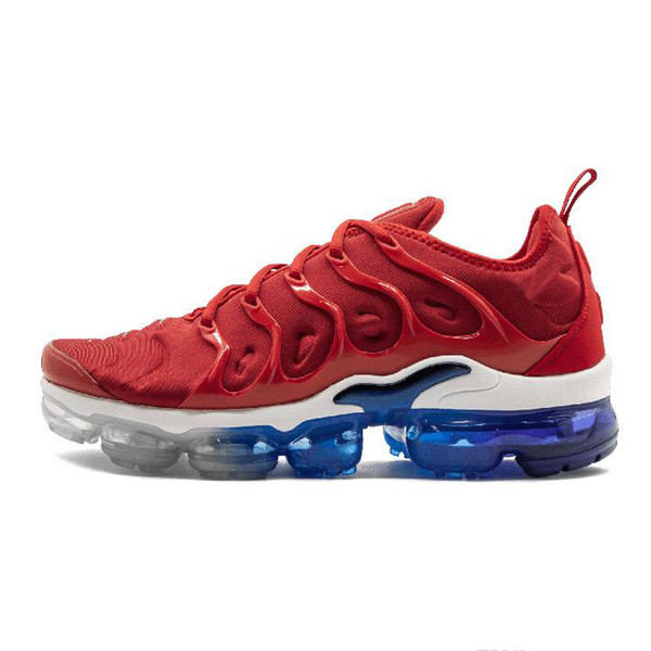2019 New listing Smokey Rainbow MauveTN Plus Running shoes Fades Blue Rainbow Game Royal USA Mens Designer sneakers Outdoor sports shoes 3A