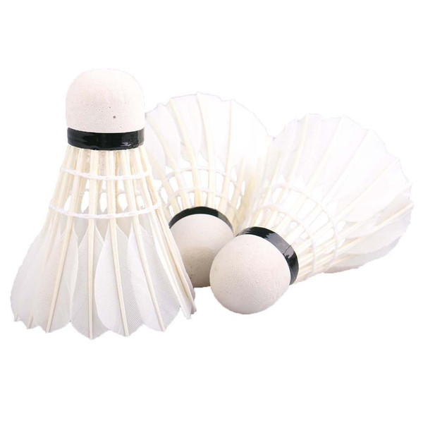 Reiz 12PCS/Tube Shuttlecocks Badminton White Feather Shuttlecocks Professional Competition and Game Badminton Accessories New arrived Hot