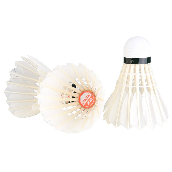 Reiz 12PCS/Tube Badminton Shuttlecocks White Feather Shuttlecocks Badminton Accessories For Professional Competition and Game Hot sell Fashi