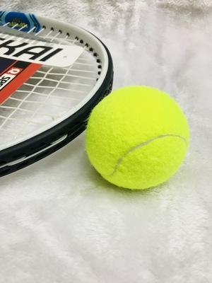 Wholesale- Outdoor Sports Tennis Training Learning Exercise High Elasticity Tennis Balls For Training Durable Learning Sports Exercise