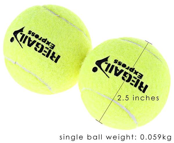 REGAIL 12pcs/set High Elasticity Tennis Training Ball Training Sport Training Competition Ball