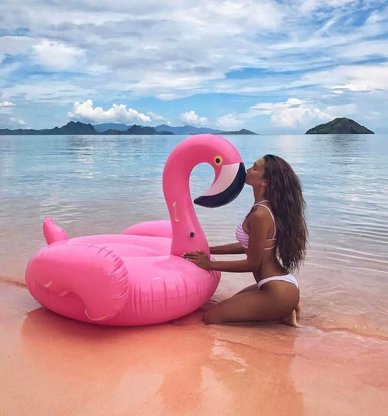 60 inch 1.5M Giant Swan Inflatable Flamingo Ride-On Pool Toy Float inflatable swan for pool Swim Ring Water Fun Pool Toys