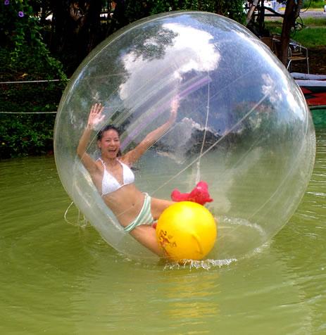 (Specialty Store) water ball 2 M diameter PVC water walking ball