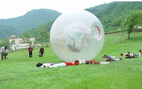 Zorb ball inflatable ball Zorbing Human hamster ball 3M or 2.5M PVC for summer TPU for cold winter