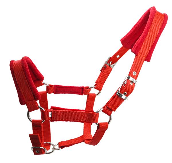 Free shipping horse halter,metal eyelet,Sponge inside cushion makes it soft and comfortable ,1 piece(QY2000B)