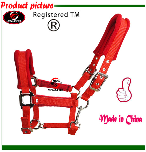 Free shipping horse halter,metal eyelet, cushion with sponge inside,soft and comfortable(RLT2010B)