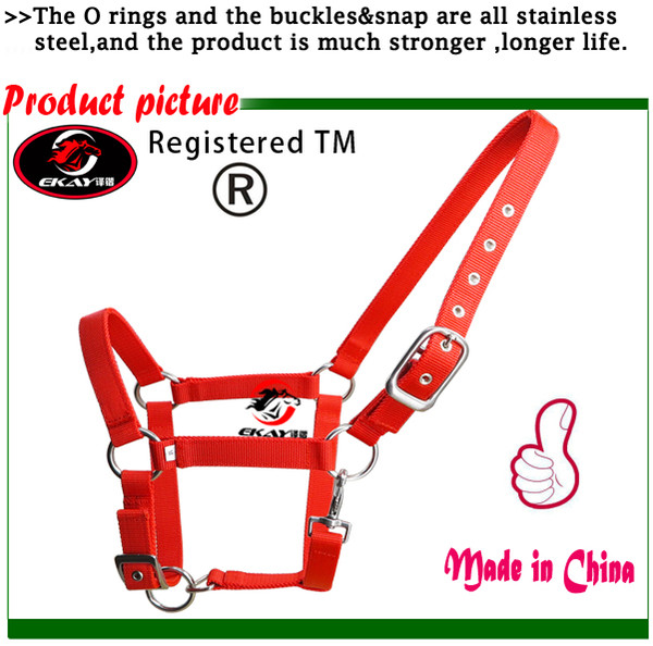 Free shipping horse halter with SS fittings ,very strong and long life,for very strong horse or a bad temper horse.(QY3002)