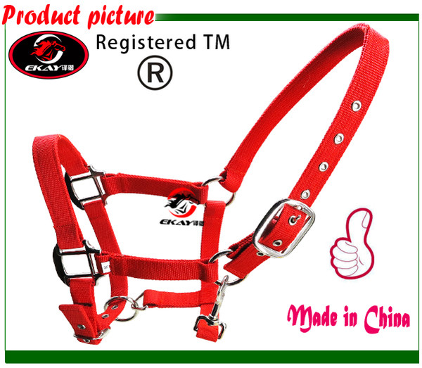 Free shipping horse halter,metal eyelet,25MM wide &6MM thick PP webbing.5 pieces per pack(LT2004)