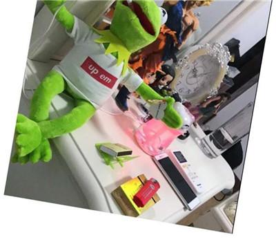 NEW frog doll sesame Street Branch kite kermit green frog doll gift concave shape FW17 Kemi frog doll creative birthday gift strange