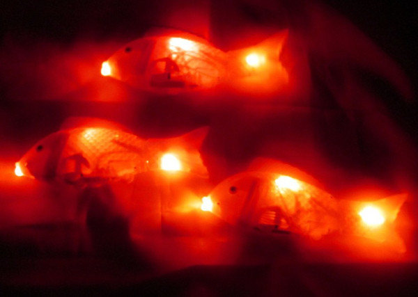 Stalls selling three lights glowing little apple music rocking fish/body/electric toy fish lantern fish free