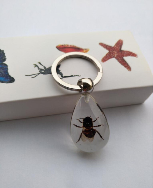 Best Children Specimens Gifts Resin Embedded Insect Key Ring Transparent Toys New Fashion Decoration Key Chain Crafts for Kids Learning Item