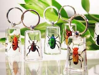 Real Bugs Insect Specimens Acrylic Resin Embedded Keychain Paperweight Transparent Mouse Key Rings Decoration New Fashion Toys&Gifts&Crafts