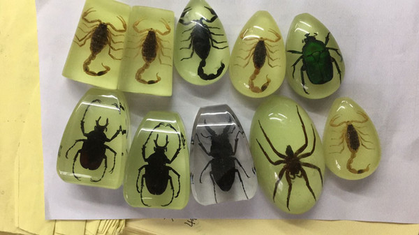 Best Insect Specimens Keychain Acrylic Resin Embedded Toys&Gifts Transparent Mouse Paperweight New Fashion Decoration Keychain Gifts&Crafts