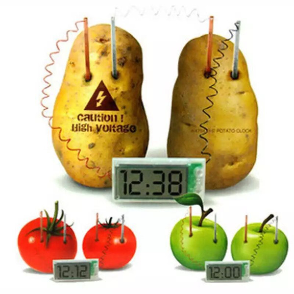 Potato Fruit Clock Science Experiment Lab Gadget Gizmos Eco Friendly Great Educational Toy for Kids Christmas Gifts C4542