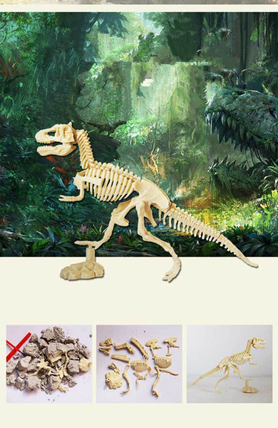 Simulated fossil model Dinosaur Science Kit Dinosaur Archaeology Excavation Digging Toy Skeleton Assemble Skeleton Dinosaurs Excavation