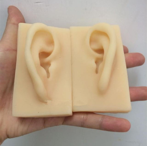 Silicone Ear Model Artificial Ear Display Sample