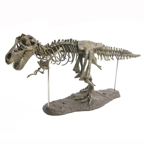 Large Dinosaur Fossil Skull Animal Model Toys Tyrannosaurus rex Assemble the skeleton model Furnishing articles decoration