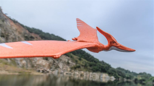 Children Outdoor Toy Hand Launch Throwing Glider Aircraft Inertial Foam Glider Shark Eagle Dragon Model Flying Toy For Kids Gift