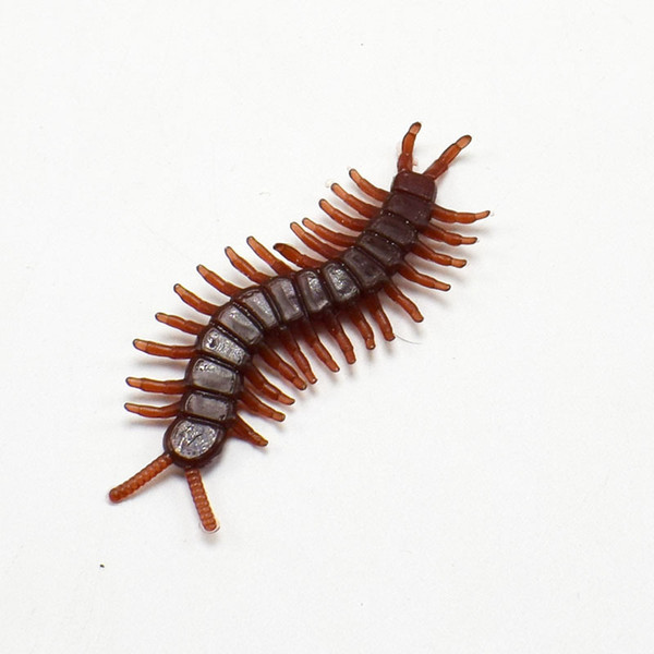 Factory direct sales Halloween April Fools Day Simulation cockroach Xiaoqiang Simulation Centipede Neat and Funny Disgusting Scary Toy Props