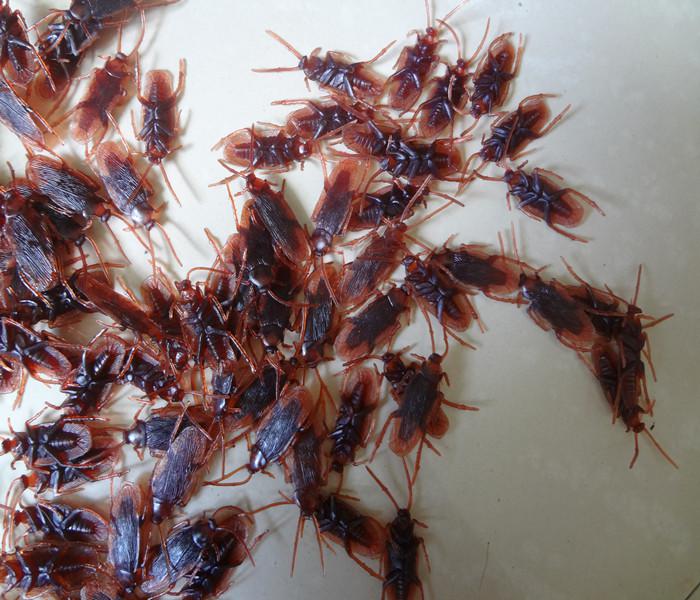 Wholesale-, 50pcs/lot April Fool's Day Gags & Practical Jokes Toys Cockroach Plastic Bugs Drop , PW0072