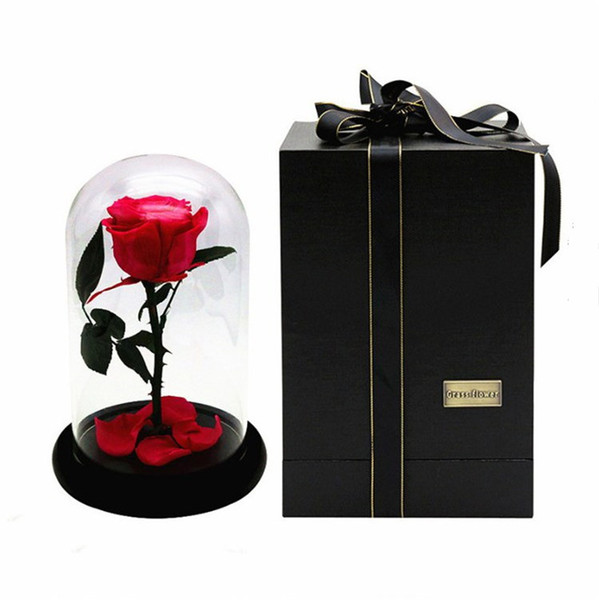 The Little Prince Glass Cover Fresh Preserved Rose Flower Import RoseAMor Immortal Colorful Roses for Girl Valentine's Day Wedding Best Gift
