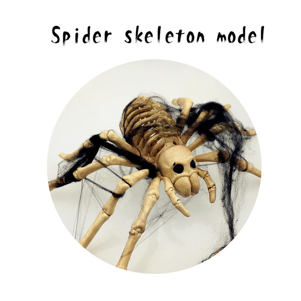 Halloween skeleton model, realistic spider skeleton, scary animal skeleton decoration, spider skeleton props