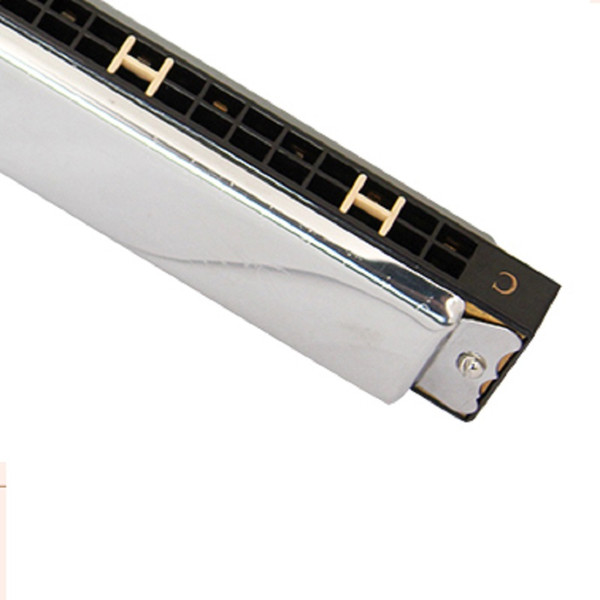 Beginners Adult Children Students Practice Getting Started Playing Musical Instruments Black Blue Rose 24 Hole c Tuning Harmonic Harmonica
