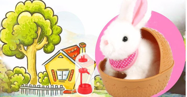 Rabbit-rabbit toy girl South Korea's cuddly furry pets will whisper in the honey-rabbit happy chicken nursery suit 3-6 years