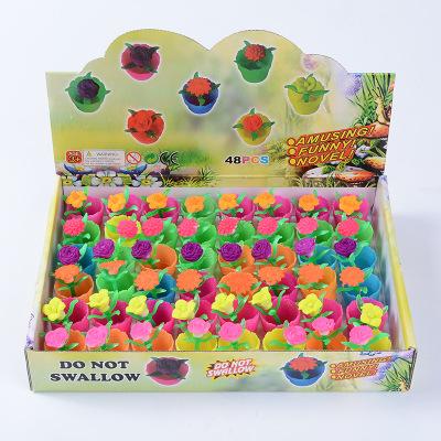 Houseplant Grow Toys Cactus Soaking flowerExpansion Inflation toy Kids Novelty Educational Toys Children Festival Gifts Free DHL