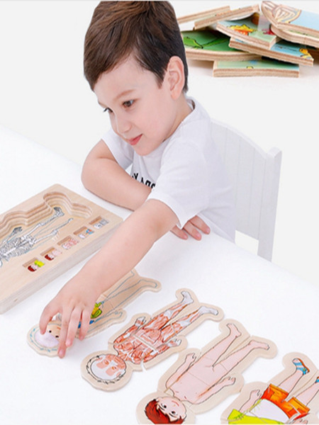 Multi-layer human body structure 3d wooden puzzles for children 2-4 years old educational toys for kids learning games toy