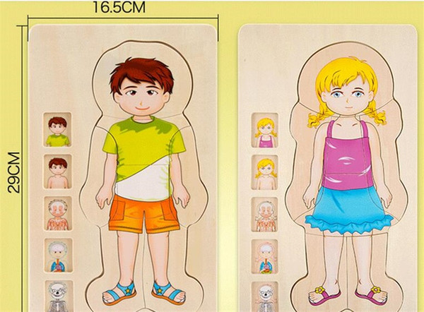 28pcs Early Education Block Multilayer Jigsaw Puzzle Product Wooden Baby Toys,Child puzzle