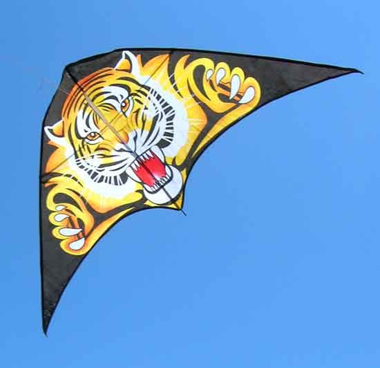 Wholesale-1piece cheap tiger kite single line kites flying Triangle kite hot sale kite free shipping