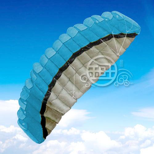 hot sale 2.5 m 2 Line Stunt Parafoil POWER Sport Kite/Blue Free Shipping!!