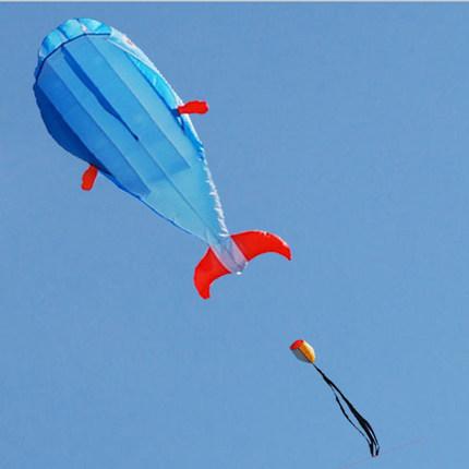 Free Shipping Outdoor Fun Sports 2.1m 3D Dolphin Cartoon Software Power Parafoil Kite Good Flying