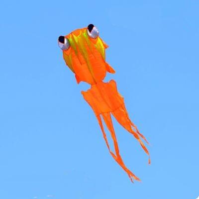 free shipping 3.5m large soft fish kites flying rainbow kite with handle line ripstop nylon outdoor toys drachen kite factory