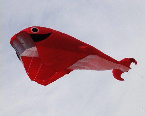 2.1 M 3D HUGE Parafoil Whale Kite/Red Free Shipping!!