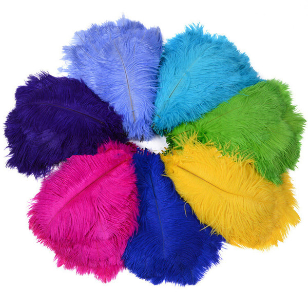 100 Pcs Color Ostrich Feather Bird Hair Ornaments Stage Props Clothing Accessories 25-30CM Feather Wedding Decoration